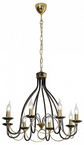 Подвесная люстра Lussole Todi GRLSA-4613-08 в Миассе - miass.mebel24.online | фото 3
