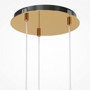 Подвесная люстра Maytoni Drop MOD273PL-L33G3K в Миассе - miass.mebel24.online | фото 6