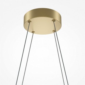 Подвесная люстра Maytoni Halo MOD244PL-L50BSK в Миассе - miass.mebel24.online | фото 4