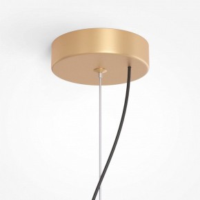 Подвесная люстра Maytoni Reels MOD268PL-03G в Миассе - miass.mebel24.online | фото 5