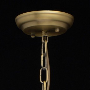 Подвесная люстра MW-Light Альгеро 3 285010703 в Миассе - miass.mebel24.online | фото 14