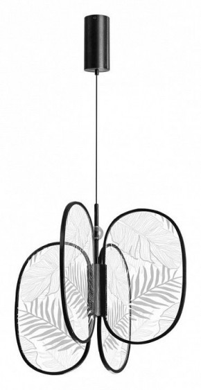Подвесная люстра Odeon Light Piuma 6665/53L в Миассе - miass.mebel24.online | фото 3