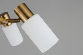 Подвесная люстра Omnilux Ales OML-69103-06 в Миассе - miass.mebel24.online | фото 10