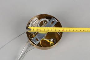 Подвесная люстра Omnilux Ales OML-69103-06 в Миассе - miass.mebel24.online | фото 11