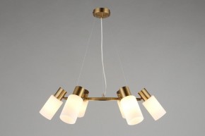 Подвесная люстра Omnilux Ales OML-69103-06 в Миассе - miass.mebel24.online | фото 4