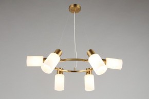 Подвесная люстра Omnilux Ales OML-69103-06 в Миассе - miass.mebel24.online | фото 7