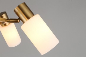 Подвесная люстра Omnilux Ales OML-69103-06 в Миассе - miass.mebel24.online | фото 9