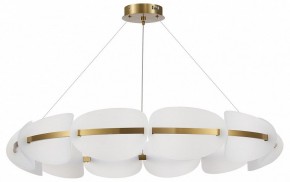 Подвесная люстра ST-Luce Etoile SL1304.203.65 в Миассе - miass.mebel24.online | фото 3