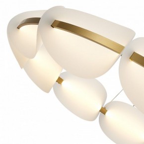 Подвесная люстра ST-Luce Etoile SL1304.203.65 в Миассе - miass.mebel24.online | фото 6