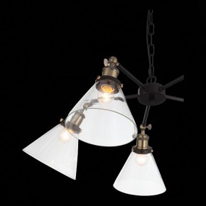 Подвесная люстра ST-Luce Evoluto SL237.413.05 в Миассе - miass.mebel24.online | фото 7