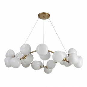 Подвесная люстра ST-Luce Sweven SL1519.303.24 в Миассе - miass.mebel24.online | фото 2