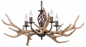 Подвесная люстра Vitaluce  V1491/5 в Миассе - miass.mebel24.online | фото