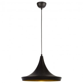 Подвесной светильник Arte Lamp Capello A3406SP-1BK в Миассе - miass.mebel24.online | фото 2