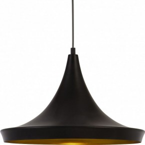 Подвесной светильник Arte Lamp Capello A3406SP-1BK в Миассе - miass.mebel24.online | фото 3