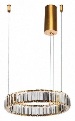 Подвесной светильник Divinare Renata 1135/17 SP-25 в Миассе - miass.mebel24.online | фото 2