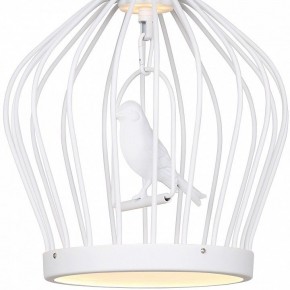 Подвесной светильник Favourite Chick 1931-2P в Миассе - miass.mebel24.online | фото 3