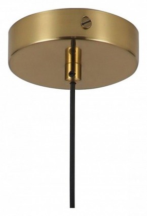 Подвесной светильник Favourite Copita 2777-1P в Миассе - miass.mebel24.online | фото 5