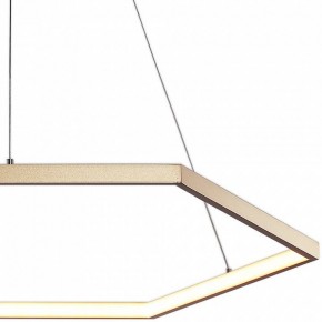 Подвесной светильник Favourite Hexagon 2103-6P в Миассе - miass.mebel24.online | фото 3