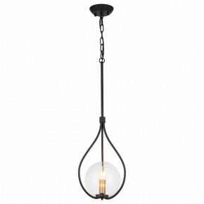 Подвесной светильник Favourite Kessel 1905-1P в Миассе - miass.mebel24.online | фото 2