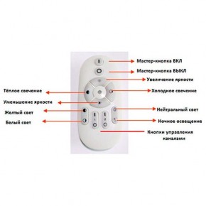 Подвесной светильник Favourite Saturn 2102-2P в Миассе - miass.mebel24.online | фото 2