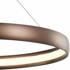 Подвесной светильник Favourite Saturn 2102-2P в Миассе - miass.mebel24.online | фото 3