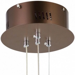 Подвесной светильник Favourite Saturn 2102-2P в Миассе - miass.mebel24.online | фото 5