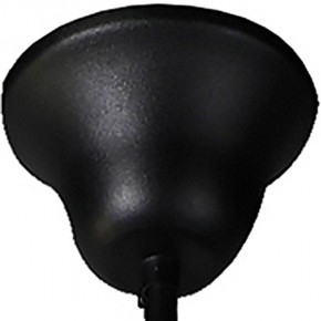 Подвесной светильник Favourite Situla 1976-1P в Миассе - miass.mebel24.online | фото 6