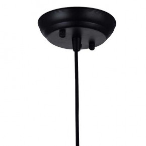 Подвесной светильник Favourite Strainer 1788-1P в Миассе - miass.mebel24.online | фото 3