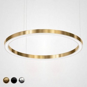 Подвесной светильник Imperiumloft Light Ring Horizontal 40.1454-120 в Миассе - miass.mebel24.online | фото 1