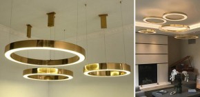 Подвесной светильник Imperiumloft Light Ring Horizontal 40.1454-120 в Миассе - miass.mebel24.online | фото 2