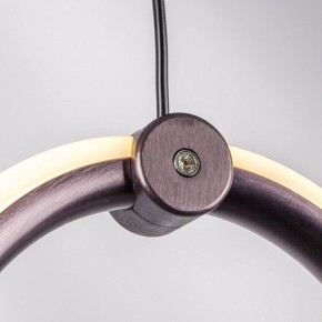 Подвесной светильник Lightstar Caramello 796289 в Миассе - miass.mebel24.online | фото 10