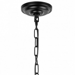 Подвесной светильник Lightstar Novara 713267 в Миассе - miass.mebel24.online | фото 5
