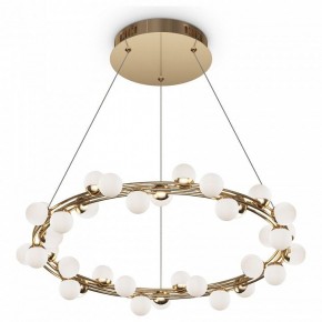 Подвесной светильник Maytoni Tessara MOD081PL-L50G3K в Миассе - miass.mebel24.online | фото 2