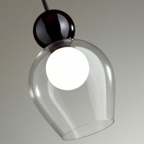 Подвесной светильник Odeon Light Blacky 2 5023/1 в Миассе - miass.mebel24.online | фото 6