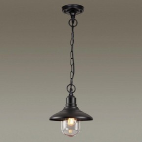 Подвесной светильник Odeon Light Campa 4965/1 в Миассе - miass.mebel24.online | фото 2