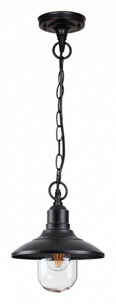 Подвесной светильник Odeon Light Campa 4965/1 в Миассе - miass.mebel24.online | фото 3