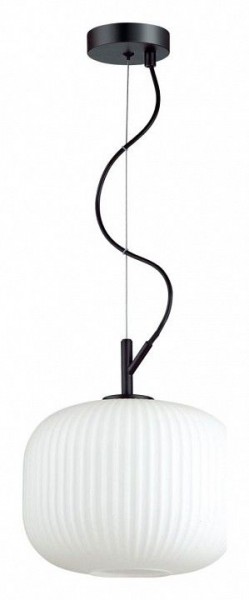Подвесной светильник Odeon Light Roofi 4753/1 в Миассе - miass.mebel24.online | фото 2