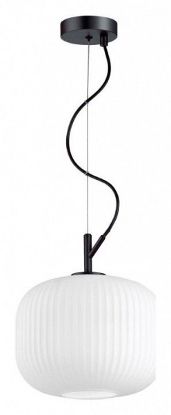 Подвесной светильник Odeon Light Roofi 4753/1 в Миассе - miass.mebel24.online | фото 3