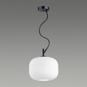 Подвесной светильник Odeon Light Roofi 4753/1 в Миассе - miass.mebel24.online | фото 4