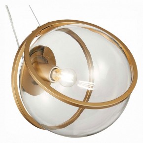 Подвесной светильник ST-Luce Acerra SL1181.313.01 в Миассе - miass.mebel24.online | фото 2