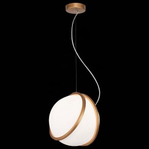 Подвесной светильник ST-Luce Acerra SL1181.353.01 в Миассе - miass.mebel24.online | фото 4