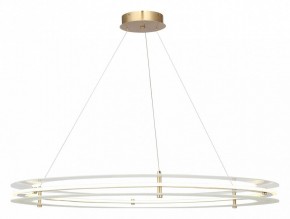 Подвесной светильник ST-Luce FAGY SL6245.213.01 в Миассе - miass.mebel24.online | фото 2