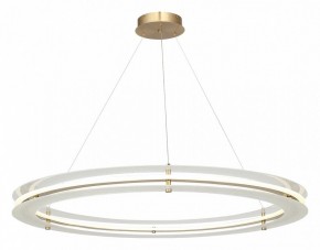 Подвесной светильник ST-Luce FAGY SL6245.213.01 в Миассе - miass.mebel24.online | фото 4