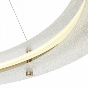 Подвесной светильник ST-Luce FAGY SL6245.213.01 в Миассе - miass.mebel24.online | фото 6