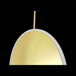 Подвесной светильник ST-Luce Imente SL1221.213.01 в Миассе - miass.mebel24.online | фото 9