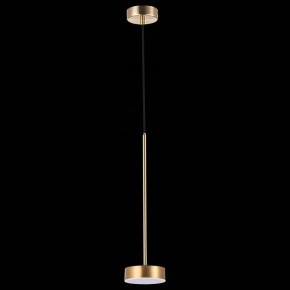 Подвесной светильник ST-Luce Pances SL6000.303.01 в Миассе - miass.mebel24.online | фото 5