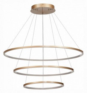 Подвесной светильник ST-Luce ST603 IN ST603.243.114 в Миассе - miass.mebel24.online | фото 3
