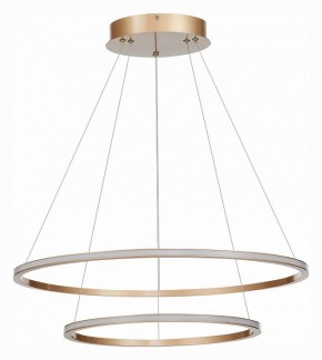 Подвесной светильник ST-Luce ST604 OUT ST604.243.56 в Миассе - miass.mebel24.online | фото 2