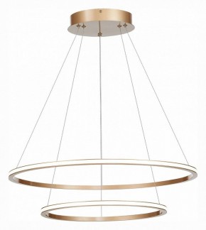 Подвесной светильник ST-Luce ST604 OUT ST604.243.56 в Миассе - miass.mebel24.online | фото 3