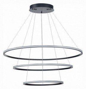 Подвесной светильник ST-Luce ST604 OUT ST604.443.114 в Миассе - miass.mebel24.online | фото 2